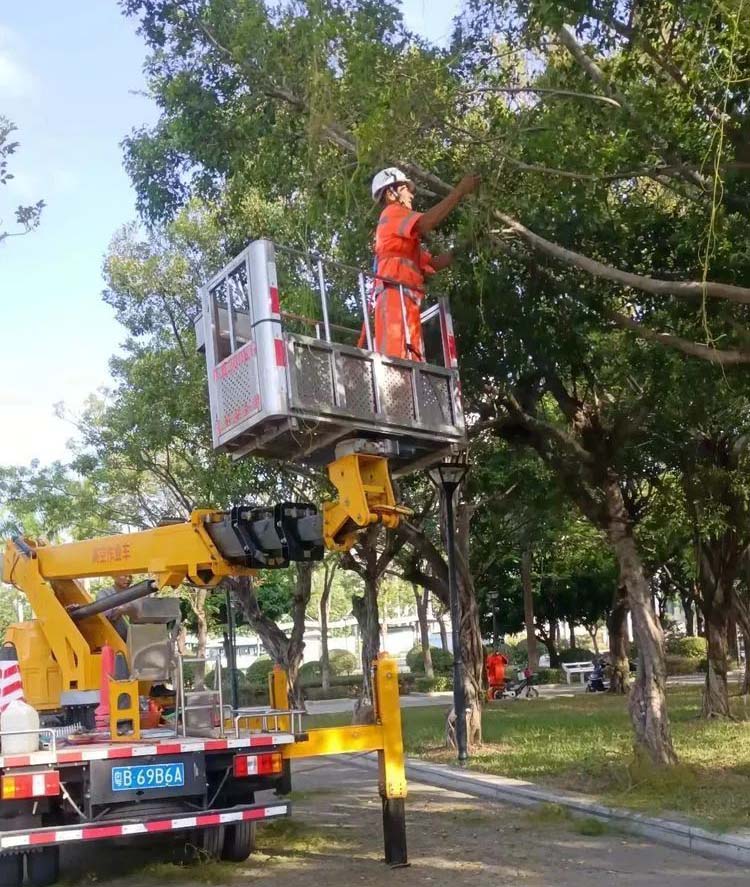 佛山顺德大良物业城市项目环卫绿化服务