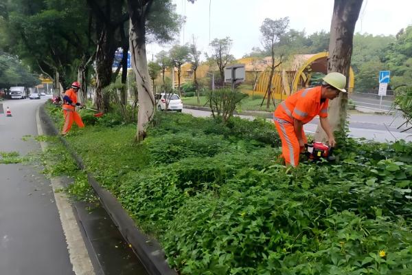 深圳龙华城市园林环卫服务价格